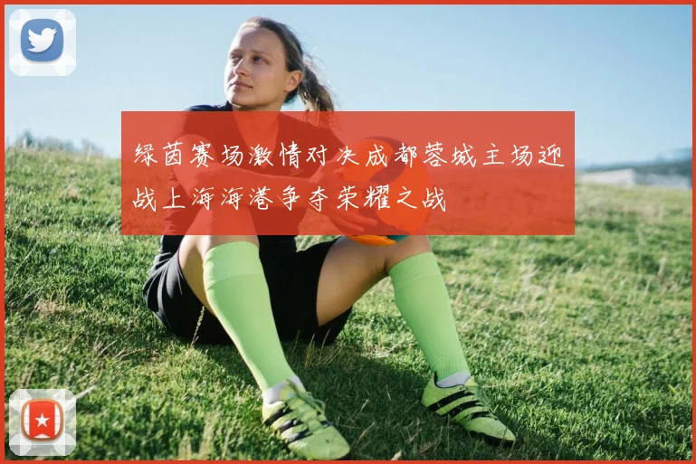 绿茵赛场激情对决成都蓉城主场迎战上海海港争夺荣耀之战