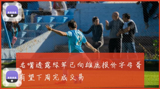 名嘴透露绿军已向雄鹿报价字母哥有望下周完成交易