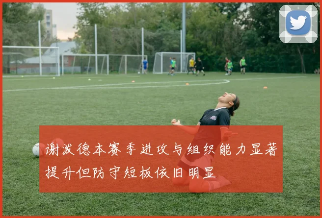 谢泼德本赛季进攻与组织能力显著提升但防守短板依旧明显